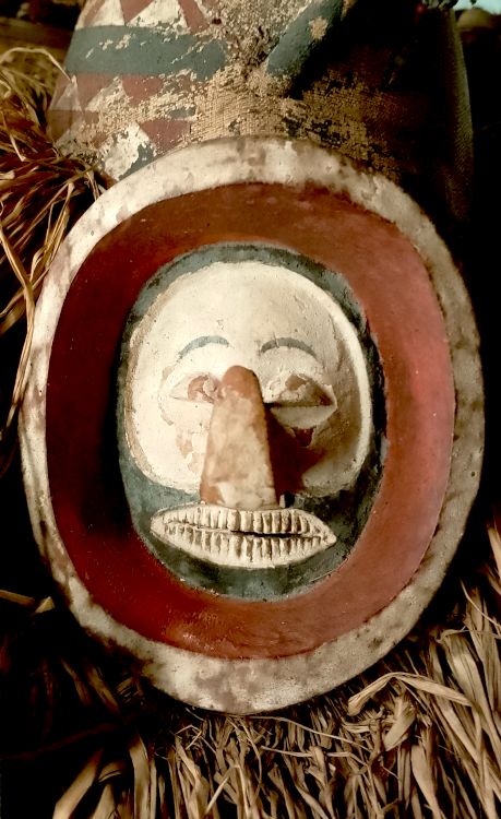 Maschera yaca per l'iniziazione all'età adulta, collezione Piola, Museo di Storiografia Naturalistica di Parma