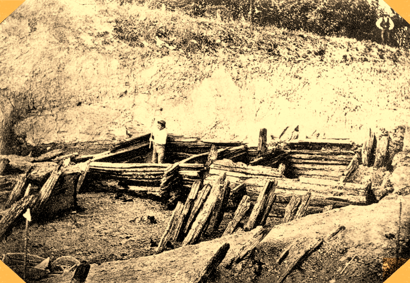 Lo scavo della terramara di Castione Marchesi nel 1877