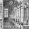 5.8.1876. Le guarigioni dell'acqua di Tabiano