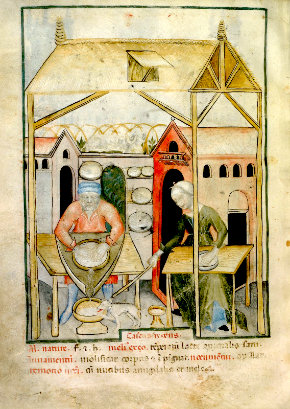 Produzione di formaggio (Caseus),
miniatura dal Tacuinum Sanitatis, 1450 ca., manoscritto della Biblioteca nazionale di Francia, Parigi.
